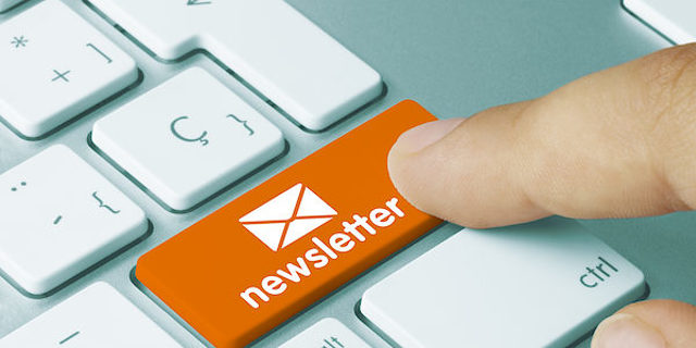Bild Newsletter Inhaltsseite